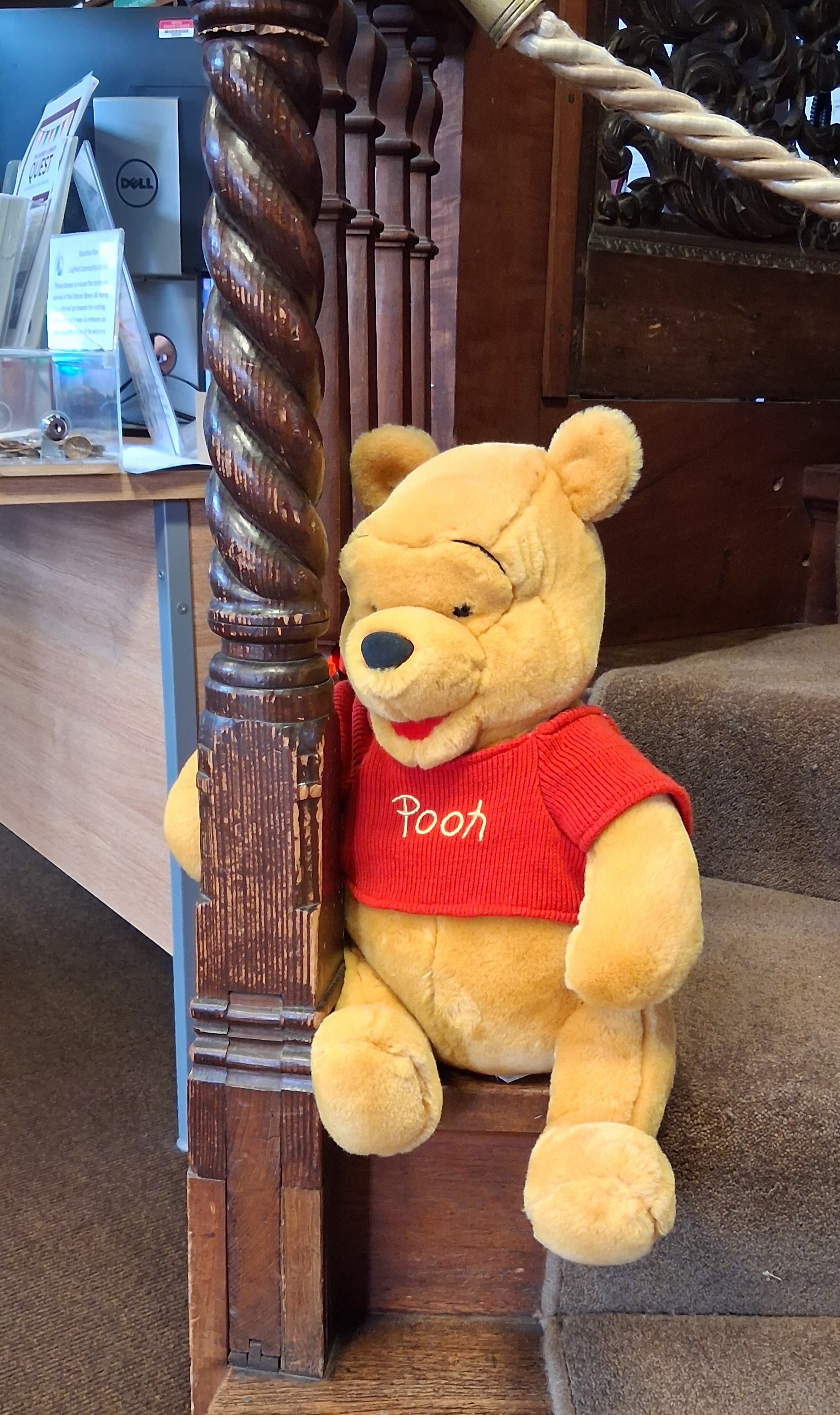 Winnie_library.jpg