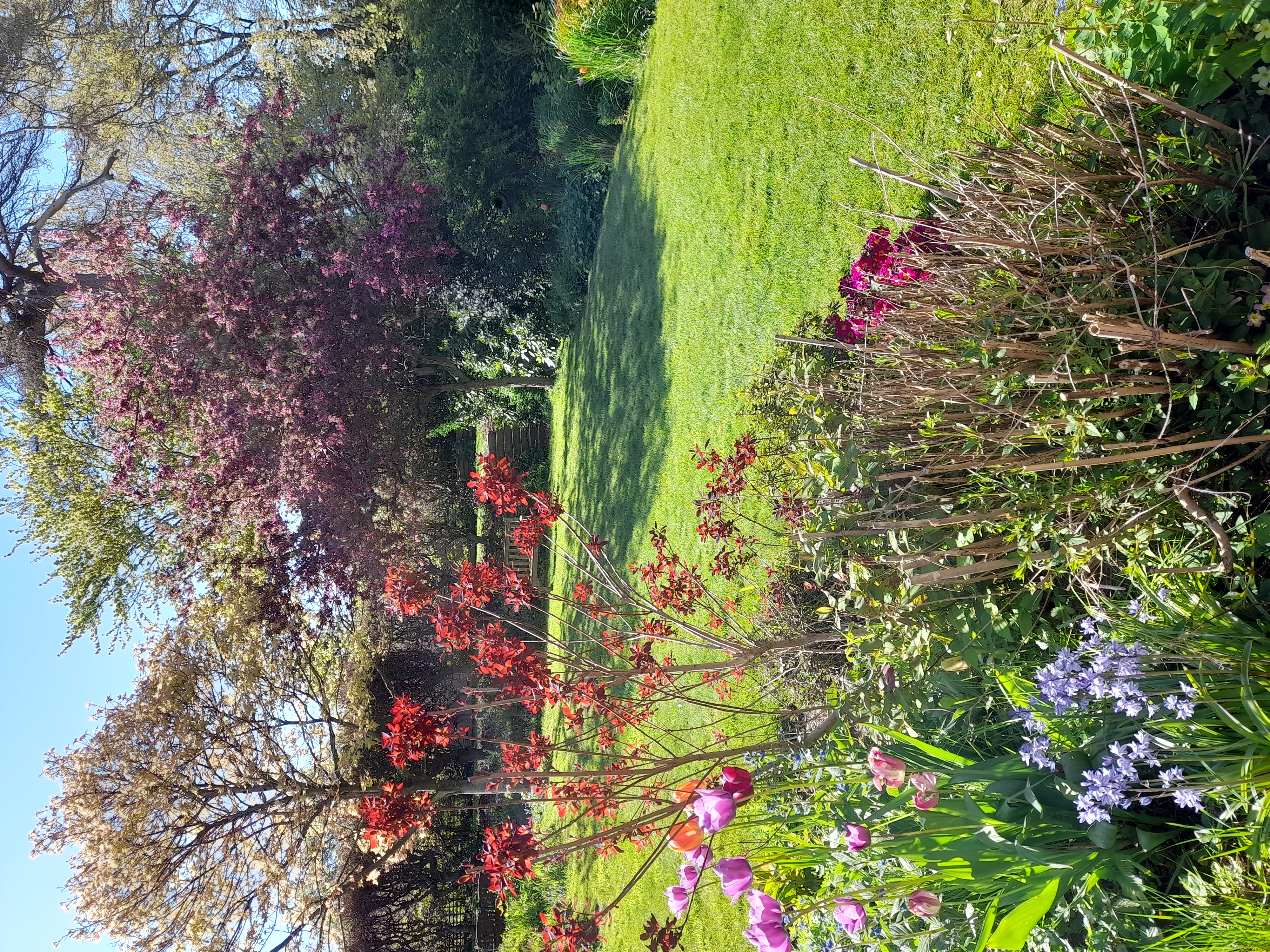 20260423_154949.jpg